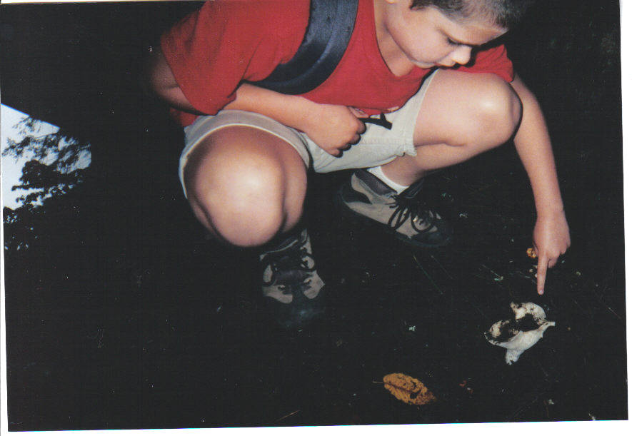 Funky Mushroom - Linville Gorge 2001